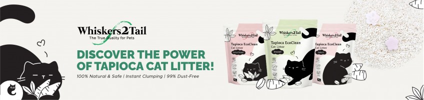 Whiskers2Tail — Tapioca Cat Litter